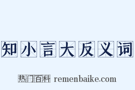 知小言大反义词是什么意思的图片